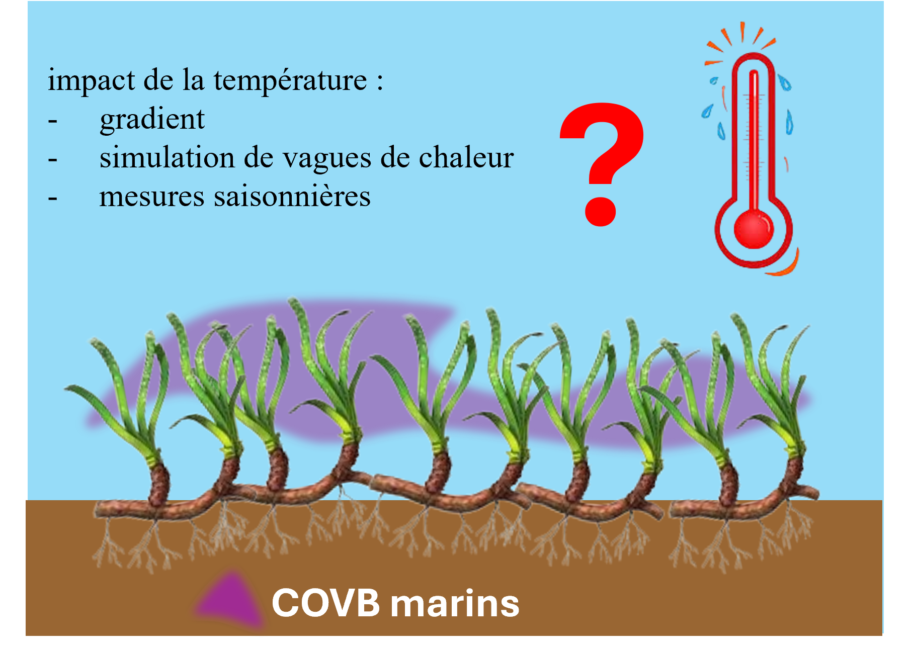 Image d'illustration du projet